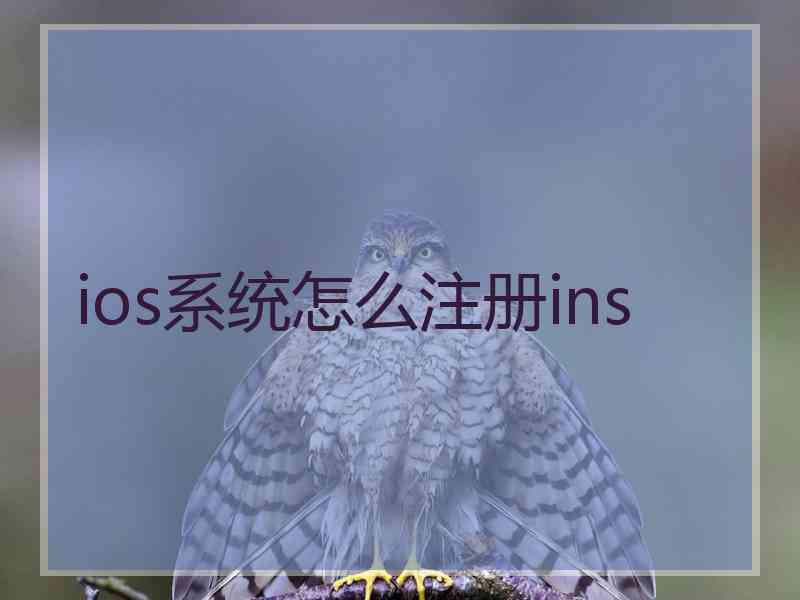 ios系统怎么注册ins