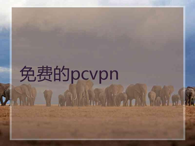 免费的pcvpn