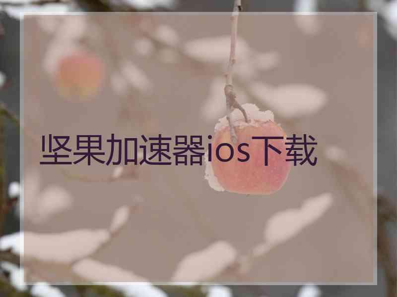 坚果加速器ios下载