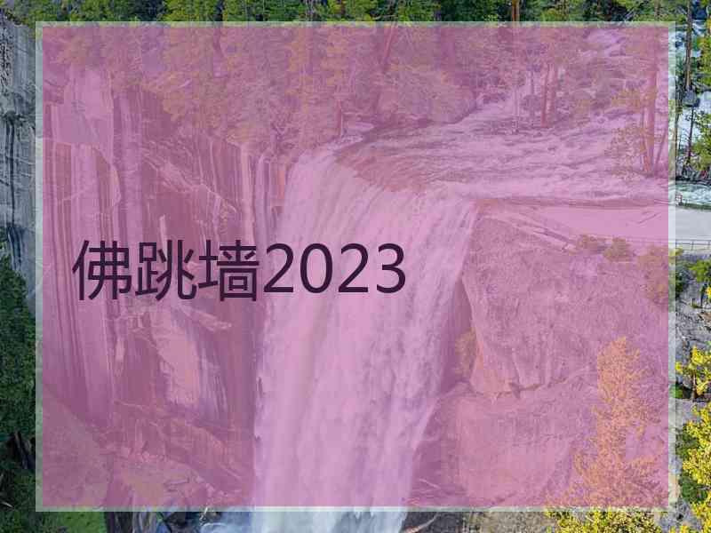 佛跳墙2023