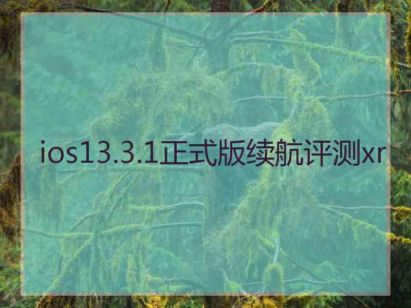 ios13.3.1正式版续航评测xr