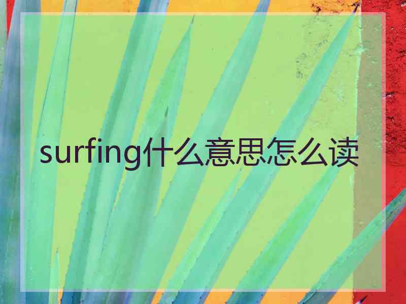 surfing什么意思怎么读