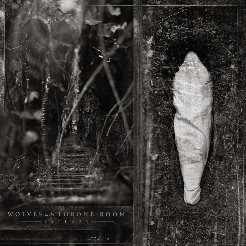 Suasana muara yang gelap dan berkabut, merepresentasikan atmosfer album Wolves in the Throne Room Estuary