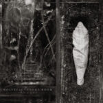 Wolves in the Throne Room Estuary: Menanti Eksplorasi Black Metal