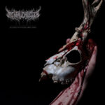 Mental Cruelty Echoes of a Forlorn Land: Menanti Evolusi Deathcore